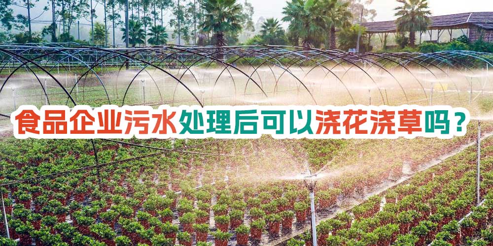 食品企業(yè)污水處理后可以澆花澆草嗎？