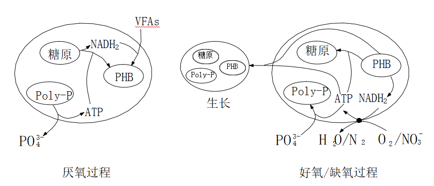 大張實業(yè)總磷去除